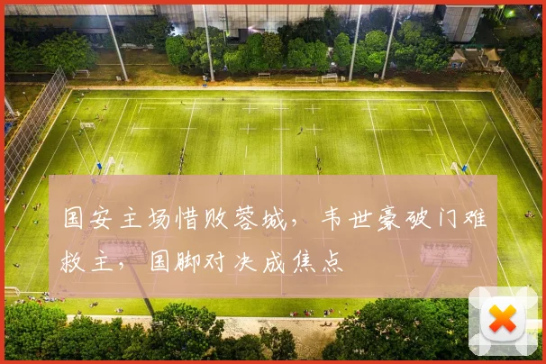 国安主场惜败蓉城，韦世豪破门难救主，国脚对决成焦点