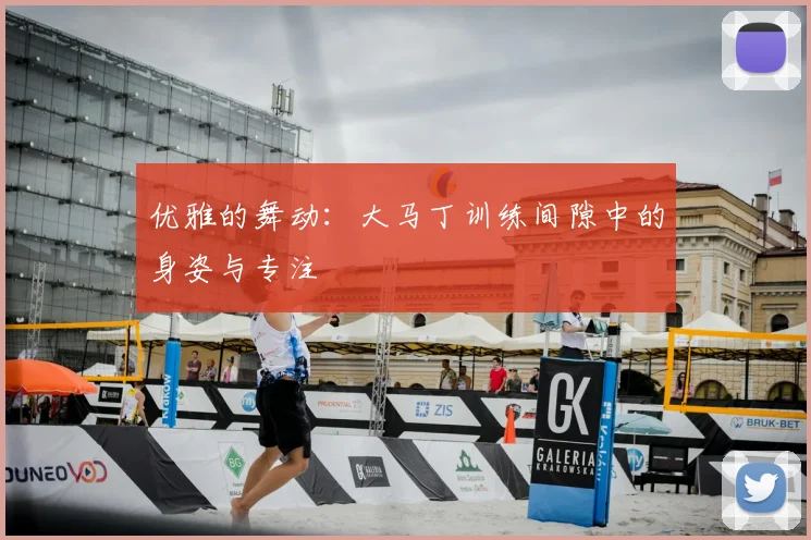 优雅的舞动：大马丁训练间隙中的身姿与专注