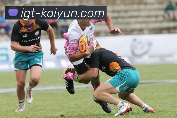 多媒体互动体验