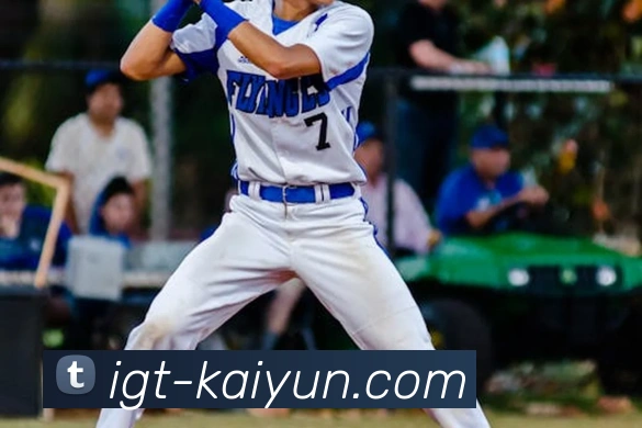 开云APP 高清赛事图